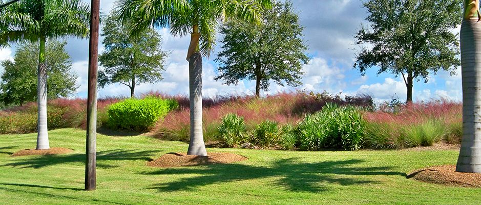 Sarasota Landscaping | Landscape Design And Maintenance FL